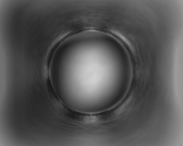 X0000089351317200706151054