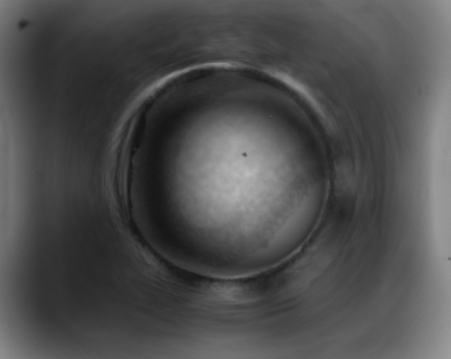 X0000089351319200706151054