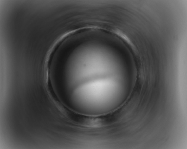 X0000089351323200706151054