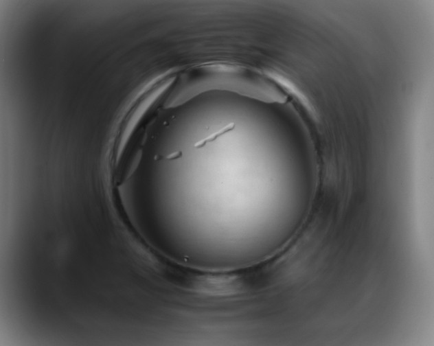 X0000089351325200706151054