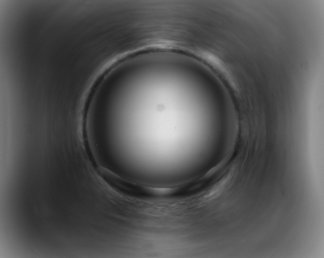 X0000089351326200706151054