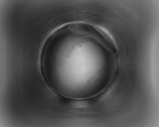 X0000089351327200706151054
