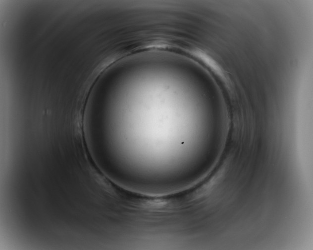 X0000089351329200706151054