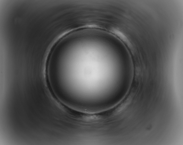 X0000089351331200706151054