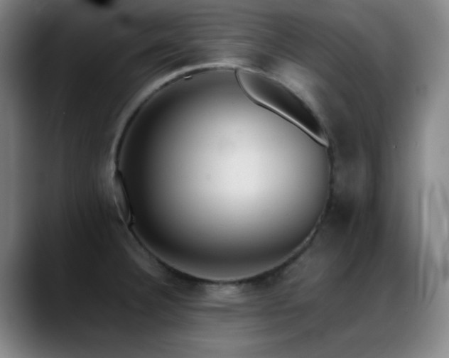 X0000089351332200706151054