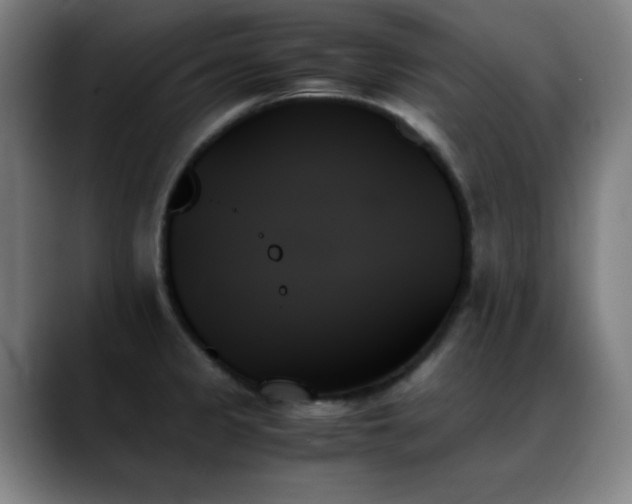 X0000089351333200706151054