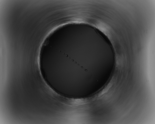 X0000089351334200706151054