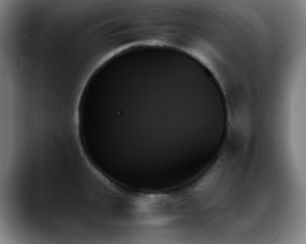 X0000089351335200706151054
