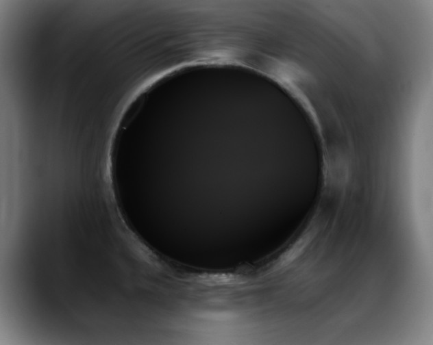 X0000089351336200706151054