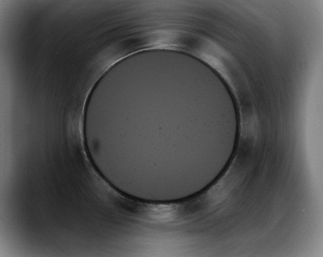 X0000089351338200706151054