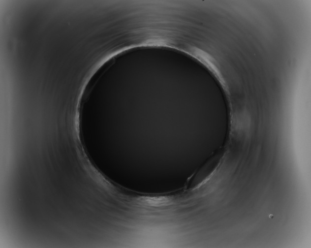 X0000089351340200706151054