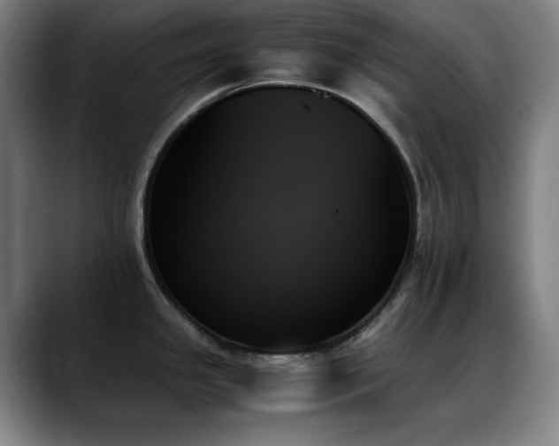 X0000089351341200706151054