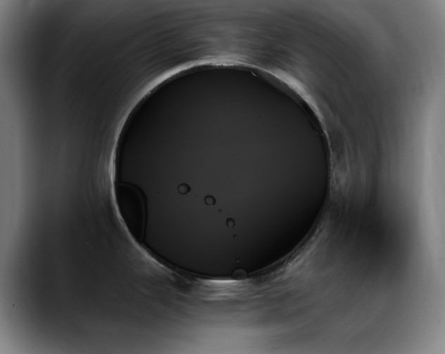 X0000089351343200706151054