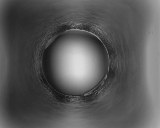 X0000089351345200706151054