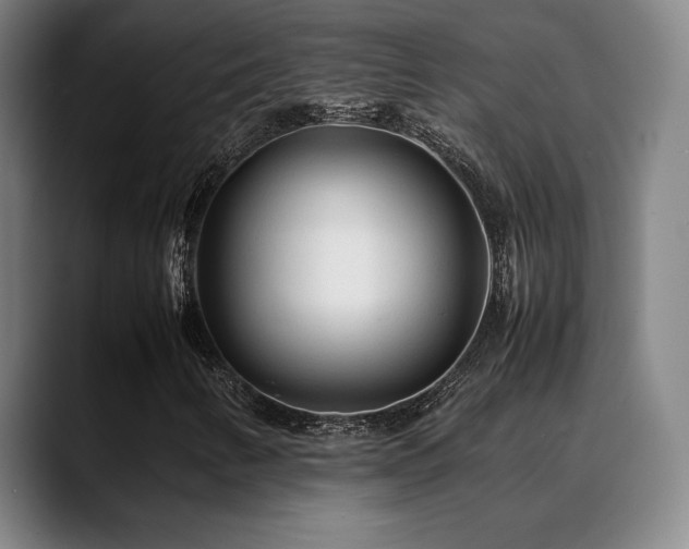 X0000089351346200706151054
