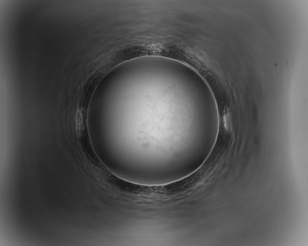 X0000089351347200706151054