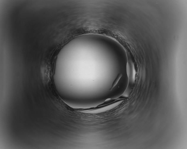 X0000089351348200706151054
