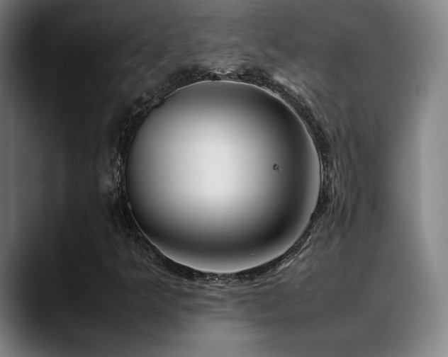 X0000089351349200706151054