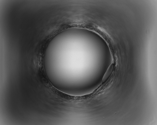 X0000089351350200706151054