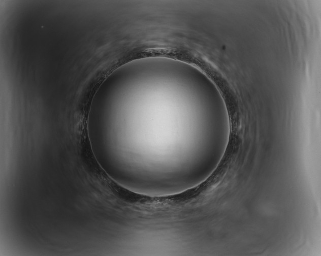 X0000089351351200706151054