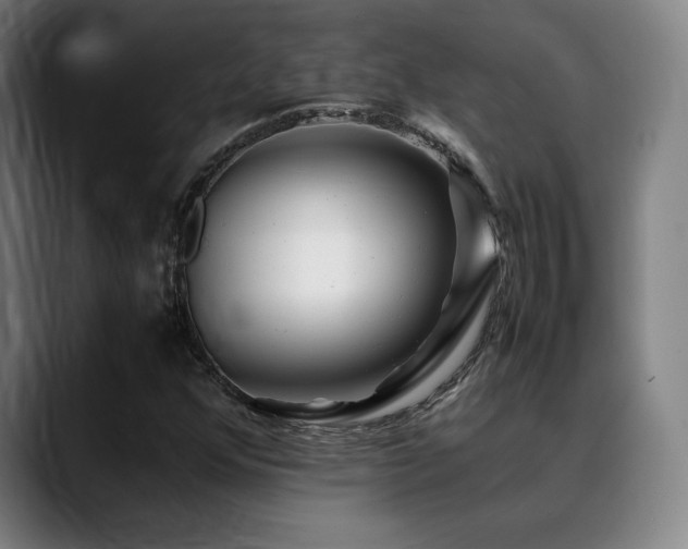 X0000089351352200706151054
