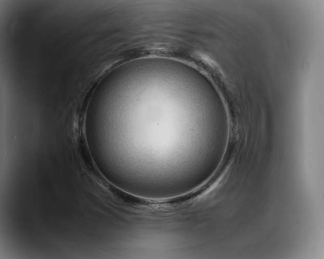 X0000089351353200706151054