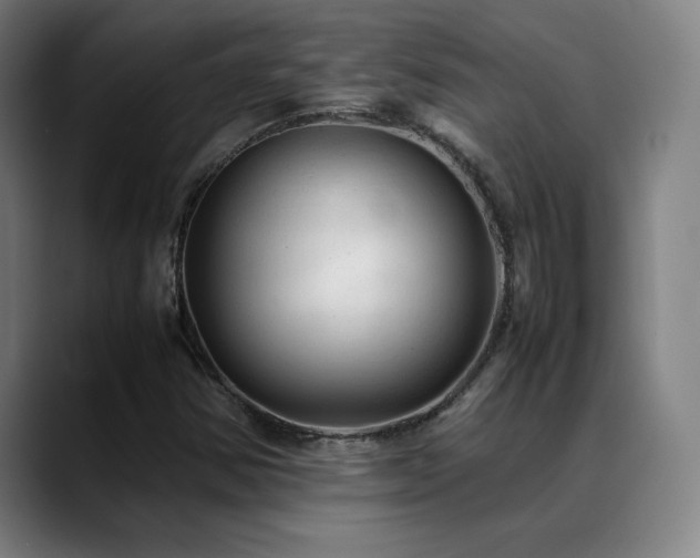 X0000089351354200706151054