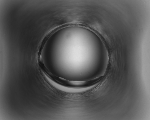 X0000089351356200706151054