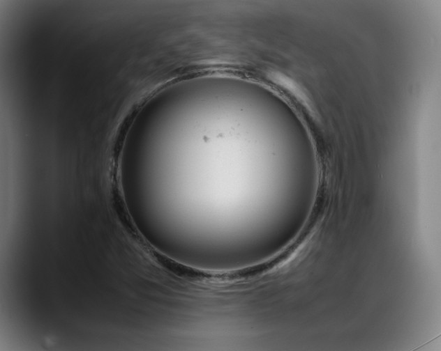 X0000089351357200706151054