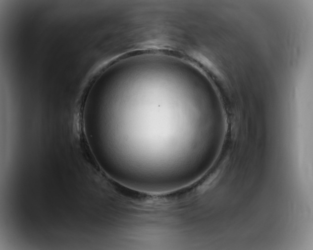 X0000089351358200706151054