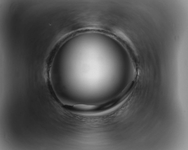 X0000089351360200706151054