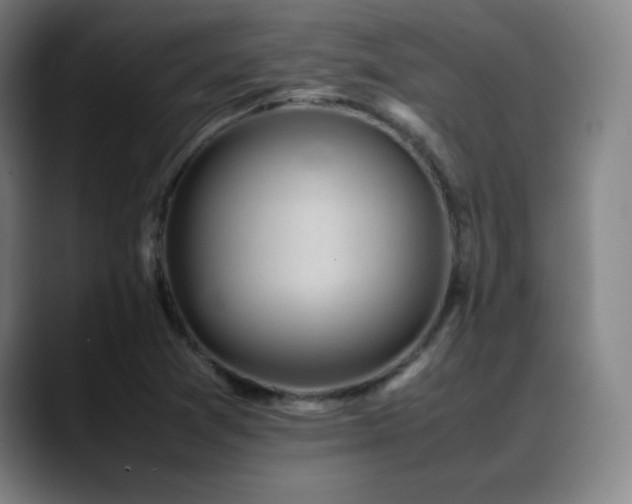 X0000089351361200706151054