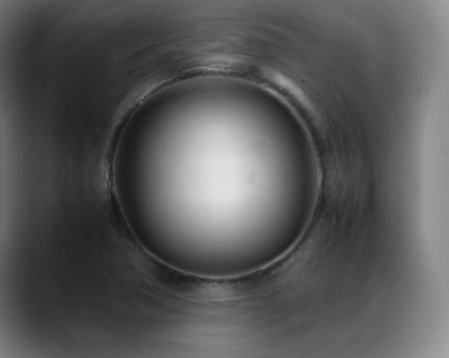 X0000089351362200706151054