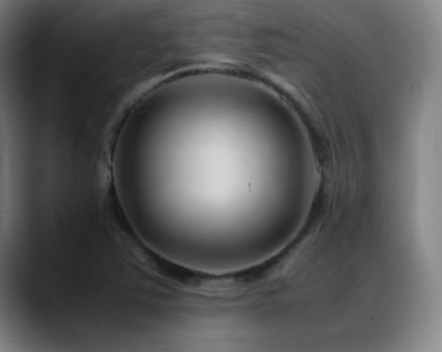X0000089351363200706151054