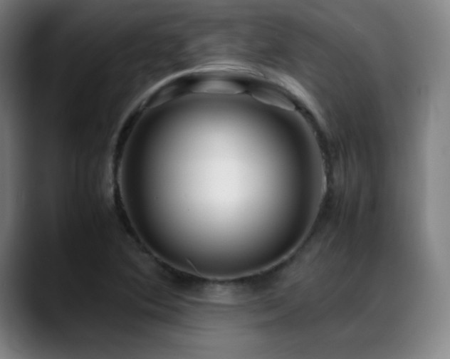X0000089351364200706151054
