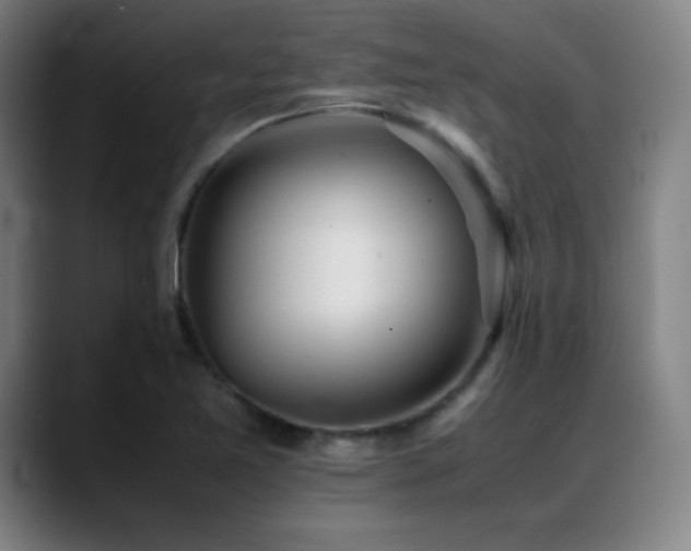 X0000089351365200706151054