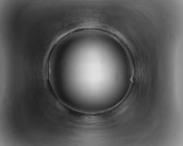 X0000089351366200706151054
