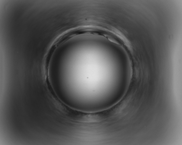 X0000089351368200706151054
