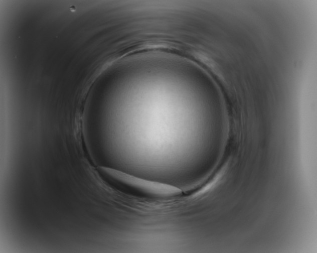 X0000089351369200706151054