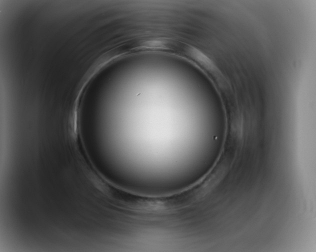 X0000089351370200706151054
