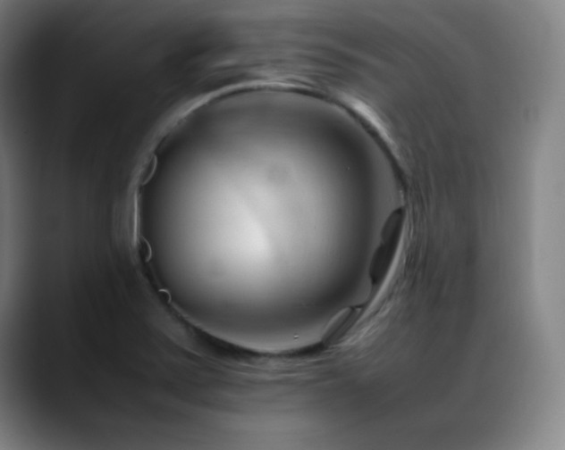 X0000089351371200706151054