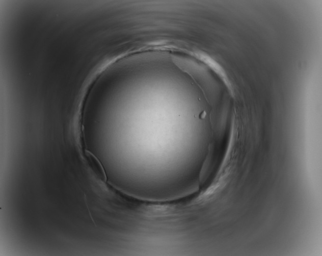 X0000089351373200706151054