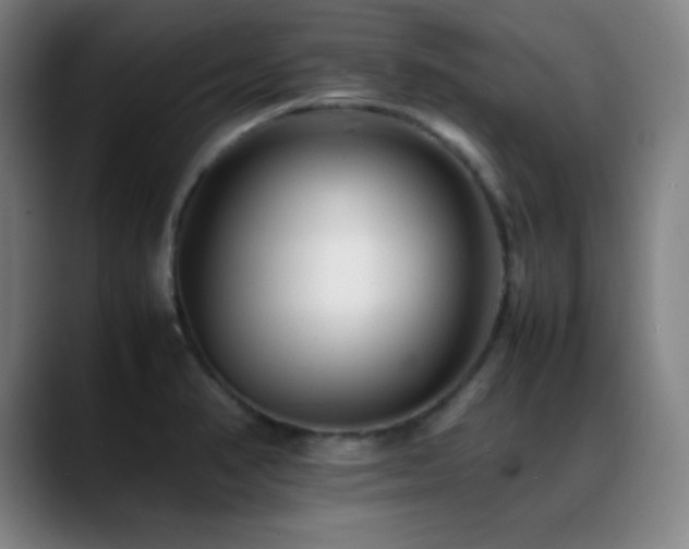 X0000089351374200706151054