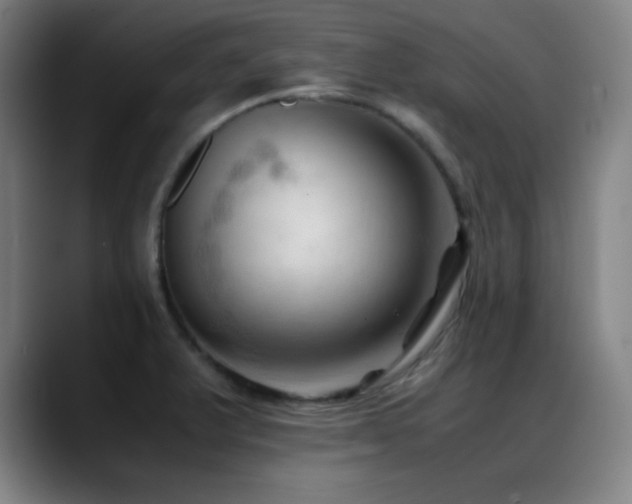 X0000089351375200706151053