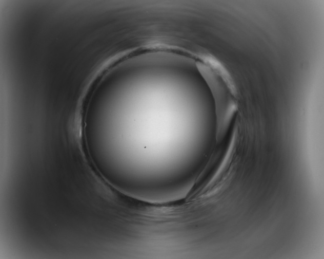 X0000089351376200706151053