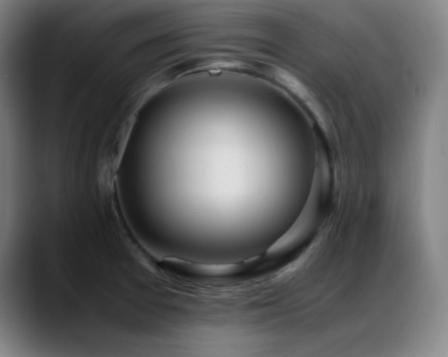 X0000089351377200706151053
