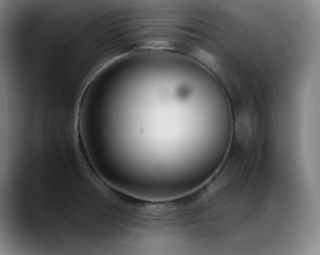 X0000089351378200706151053
