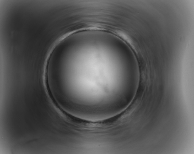 X0000089351379200706151053