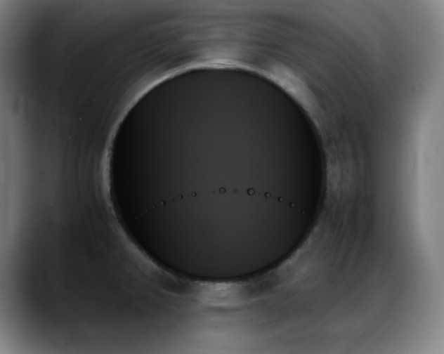 X0000089351382200706151053
