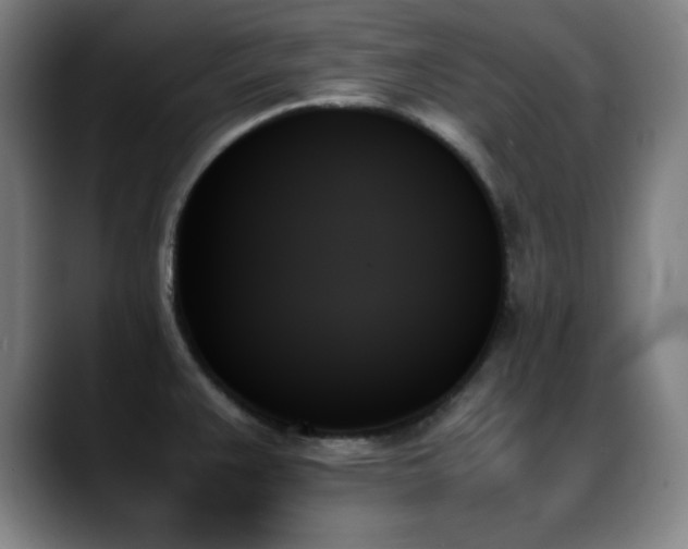 X0000089351383200706151053